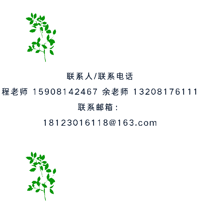 图片[7]-2025成都“城市公园焕活更新”方案征集-掌上艺赛-全球设计大赛及作品征集网站!发布标志logo征集、工业大赛、包装大赛、文创大赛、旅游商品大赛、吉祥物征集、建筑大赛、服装大赛、广告语征集、歌曲征集、征文征名、摄影大赛、书法大赛资讯征集平台