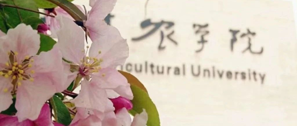 天津农学院建校50周年庆祝活动标识、宣传口号、文创产品设计、校史资料征集公告-掌上艺赛-全球设计大赛及作品征集网站!发布标志logo征集、工业大赛、包装大赛、文创大赛、旅游商品大赛、吉祥物征集、建筑大赛、服装大赛、广告语征集、歌曲征集、征文征名、摄影大赛、书法大赛资讯征集平台
