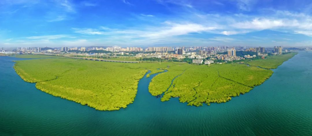 图片[2]-2025年“聚焦绿水青山 定格森情绿韵”广西森林草原湿地摄影大赛