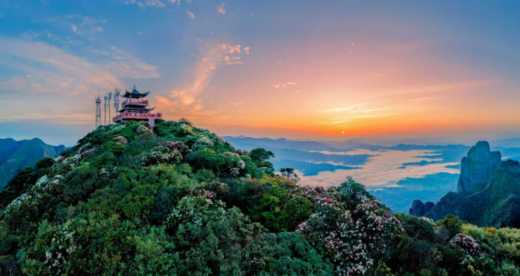 图片[5]-2025年“聚焦绿水青山 定格森情绿韵”广西森林草原湿地摄影大赛