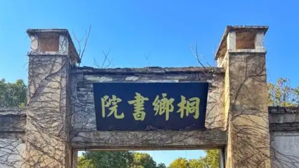 2025桐城市富锌农产品包装设计大赛