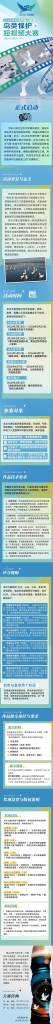2026年天津市第一届鸟类保护短视频大赛-掌上艺赛-全球设计大赛及作品征集网站!发布标志logo征集、工业大赛、包装大赛、文创大赛、旅游商品大赛、吉祥物征集、建筑大赛、服装大赛、广告语征集、歌曲征集、征文征名、摄影大赛、书法大赛资讯征集平台