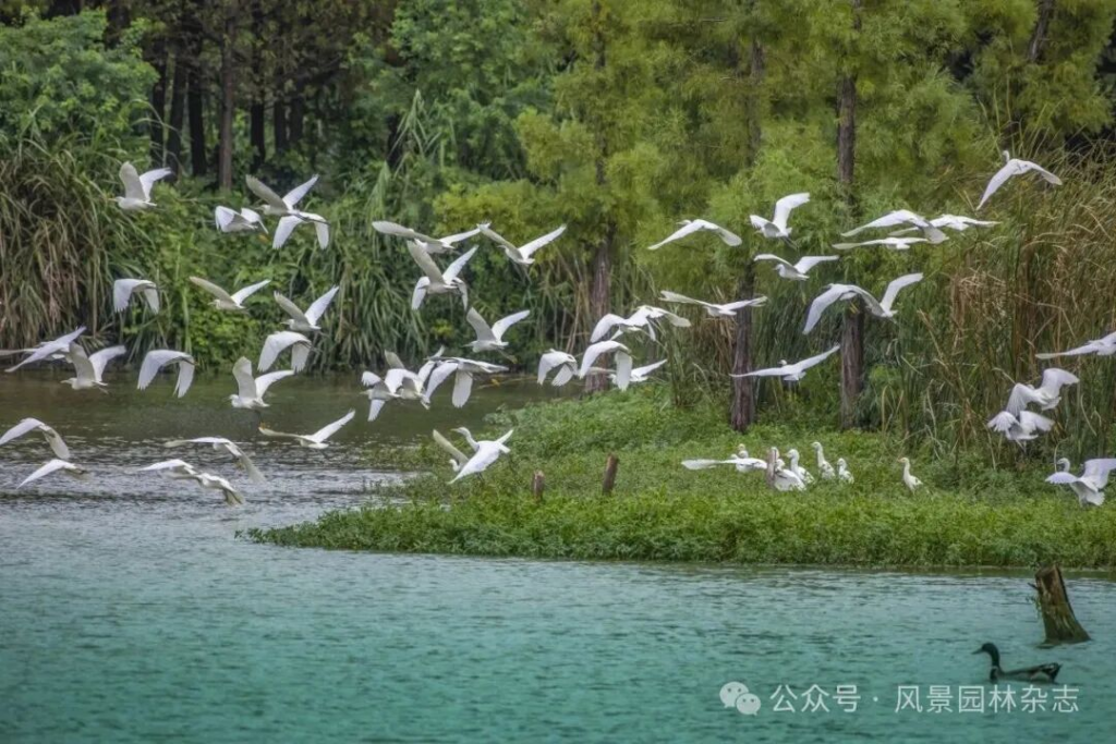 图片[2]-2025 第三届LA风景园林奖获奖名单及作品-掌上艺赛-全球设计大赛及作品征集网站!发布标志logo征集、工业大赛、包装大赛、文创大赛、旅游商品大赛、吉祥物征集、建筑大赛、服装大赛、广告语征集、歌曲征集、征文征名、摄影大赛、书法大赛资讯征集平台