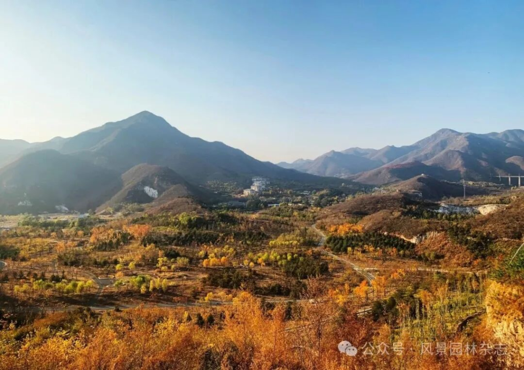 图片[3]-2025 第三届LA风景园林奖获奖名单及作品-掌上艺赛-全球设计大赛及作品征集网站!发布标志logo征集、工业大赛、包装大赛、文创大赛、旅游商品大赛、吉祥物征集、建筑大赛、服装大赛、广告语征集、歌曲征集、征文征名、摄影大赛、书法大赛资讯征集平台