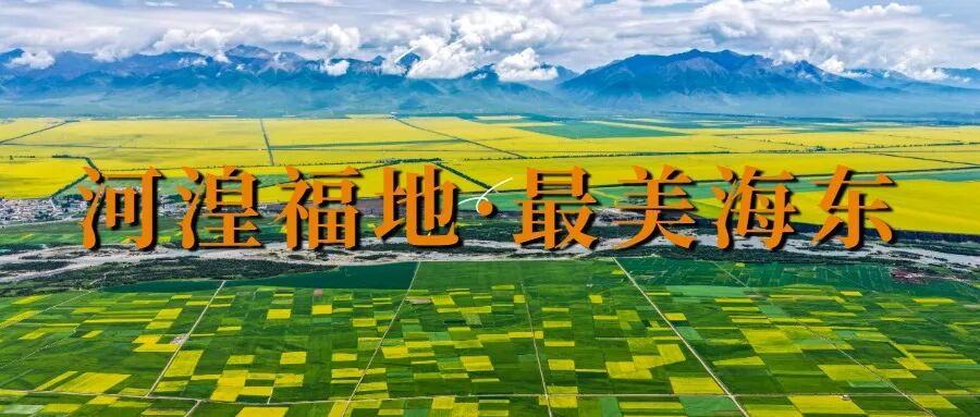 海东市融媒体中心标识设计征集公告-掌上艺赛-全球设计大赛及作品征集网站!发布标志logo征集、工业大赛、包装大赛、文创大赛、旅游商品大赛、吉祥物征集、建筑大赛、服装大赛、广告语征集、歌曲征集、征文征名、摄影大赛、书法大赛资讯征集平台